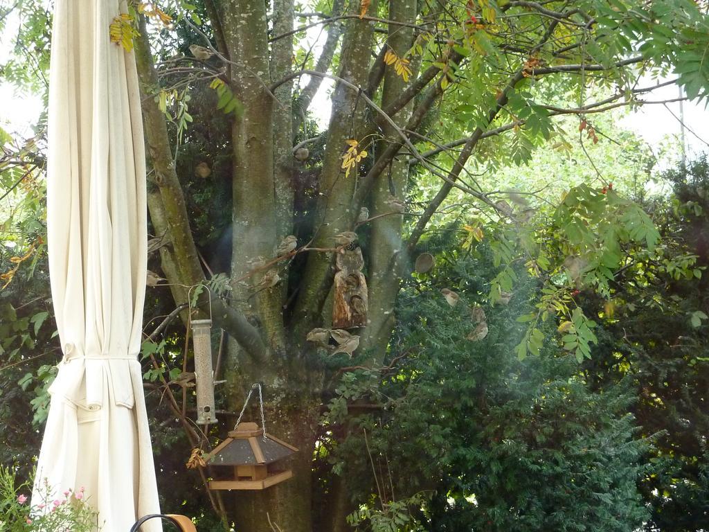 Schwarzwald Light Apartman Freudenstadt Kültér fotó