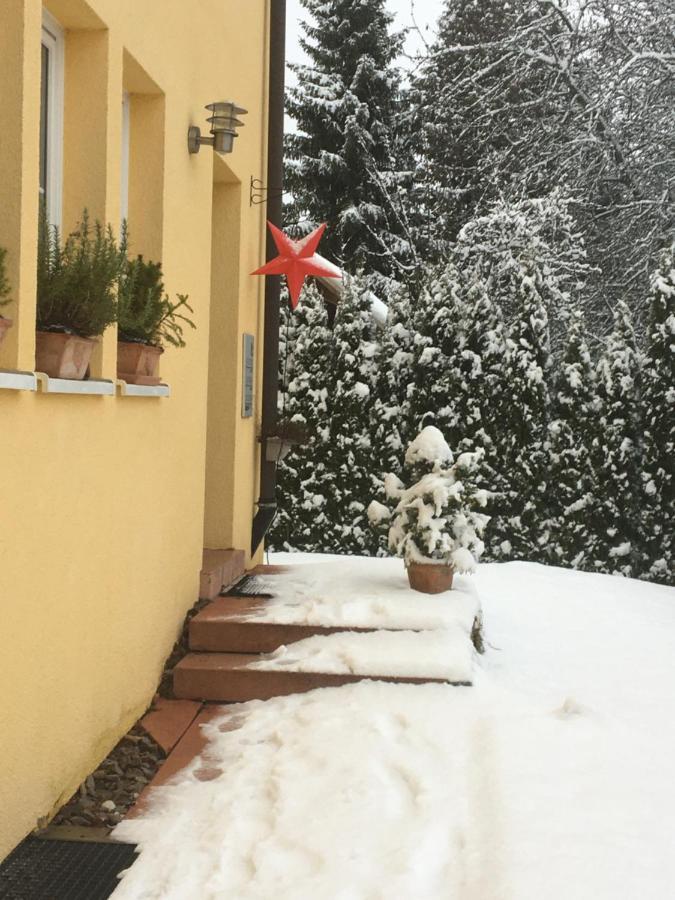 Schwarzwald Light Apartman Freudenstadt Kültér fotó